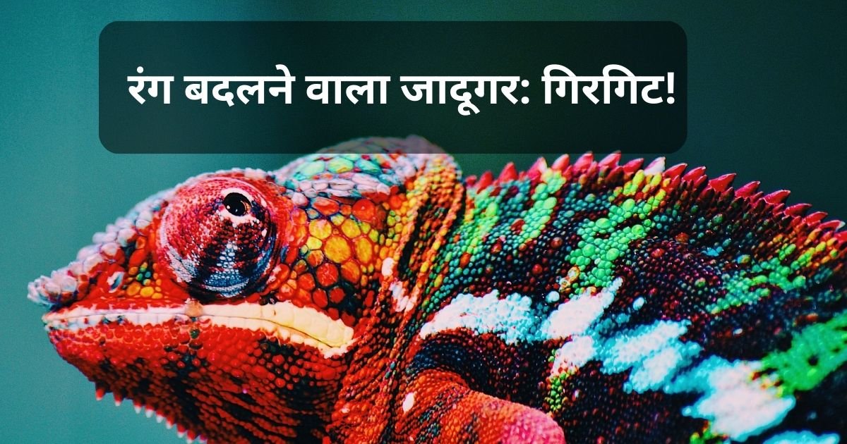 रंग बदलने वाला जादूगर: गिरगिट!